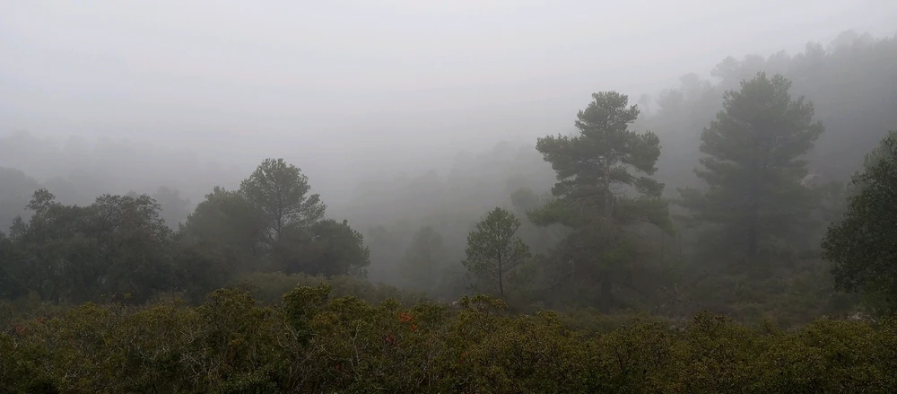 Imatge pujada per Leinad