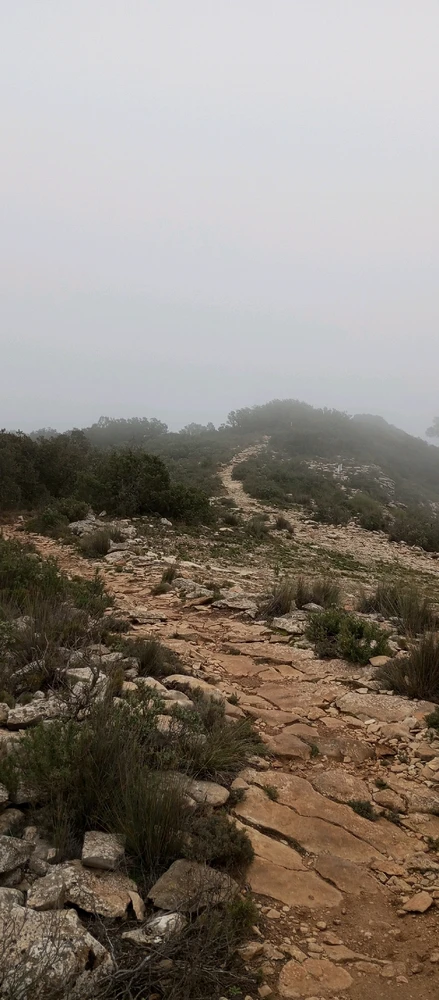 Imatge pujada per Leinad