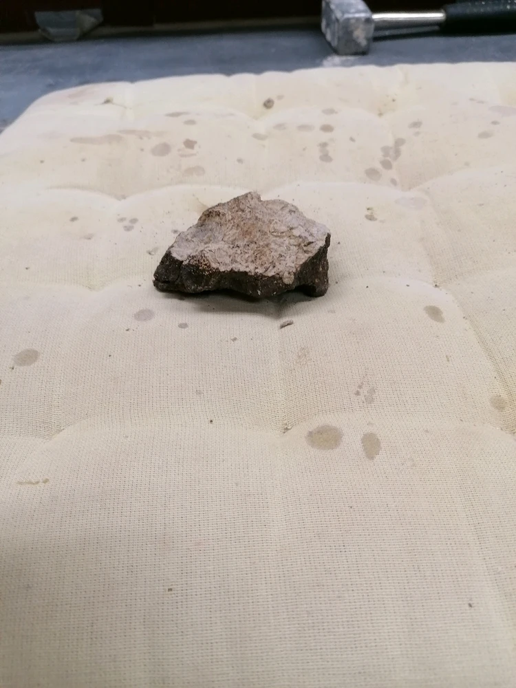 Image uploaded by Rune Feyaerts