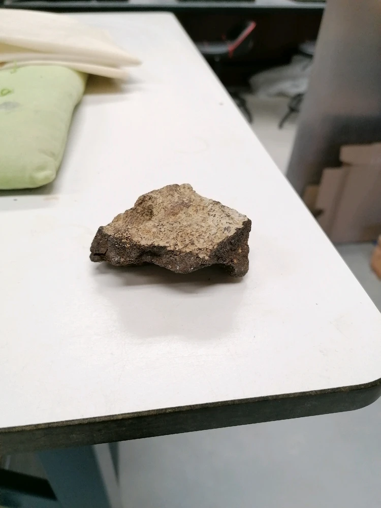 Image uploaded by Rune Feyaerts