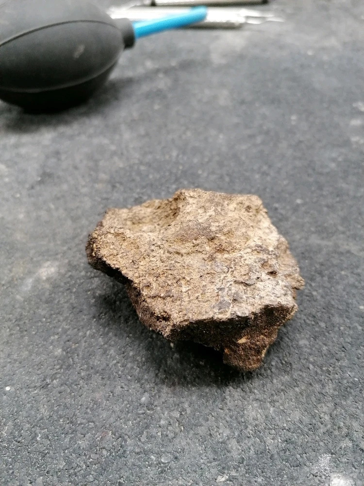 Image uploaded by Rune Feyaerts