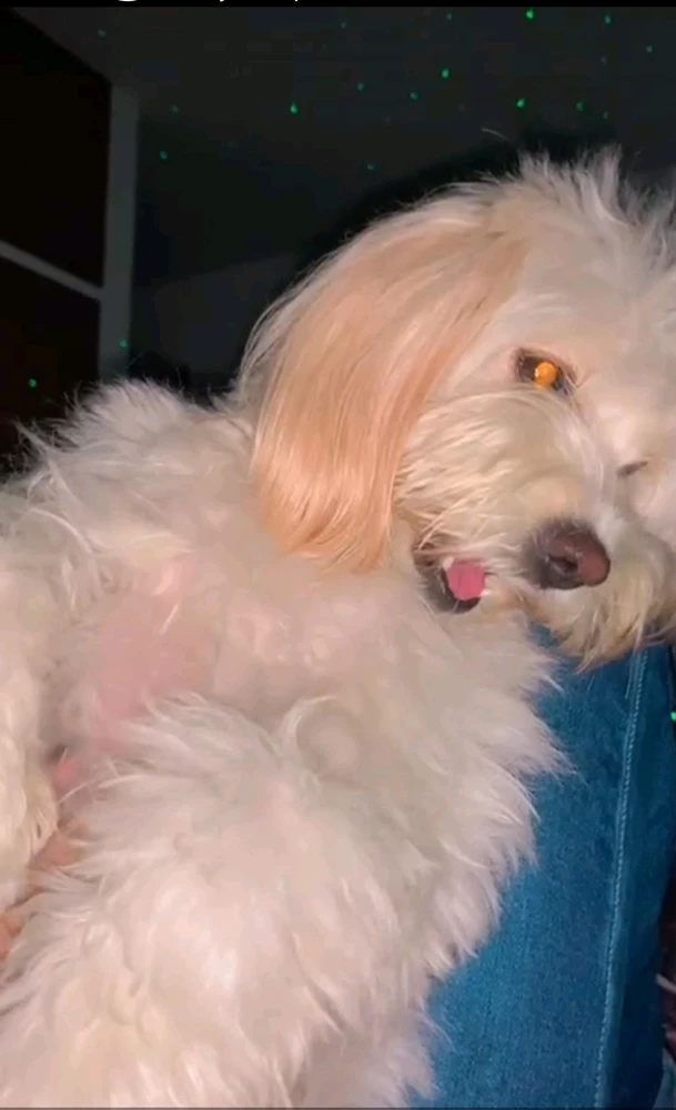 GIF subido por Alexander veloz