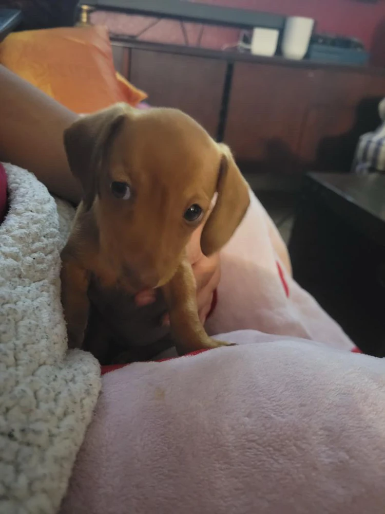 4 weeks