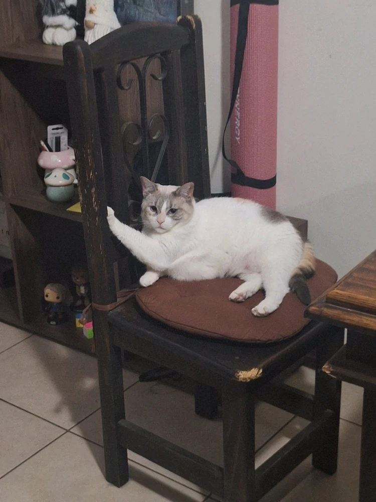 GIF subido por Kate