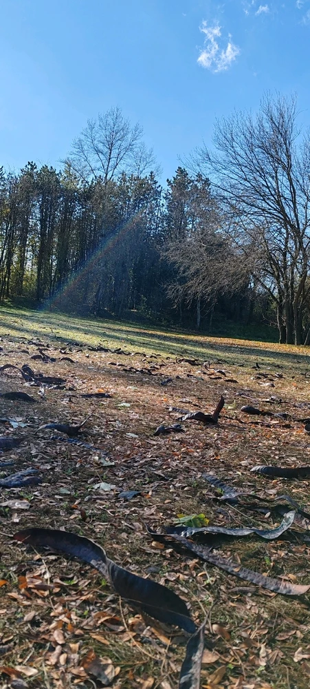 Andor által feltöltött kép