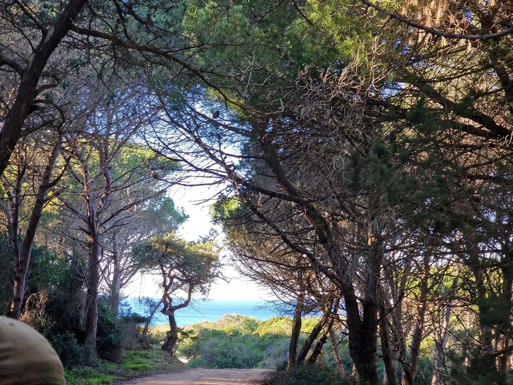 Immagine caricata da Roberto