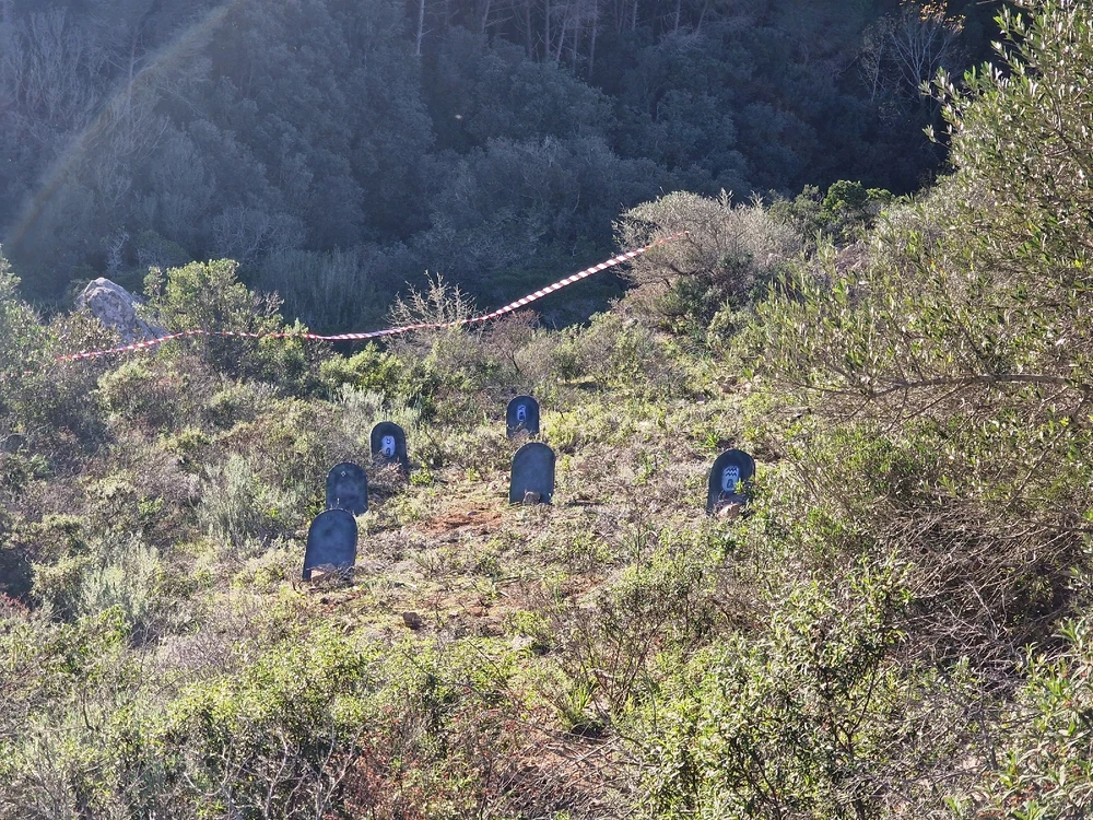 Immagine caricata da Roberto