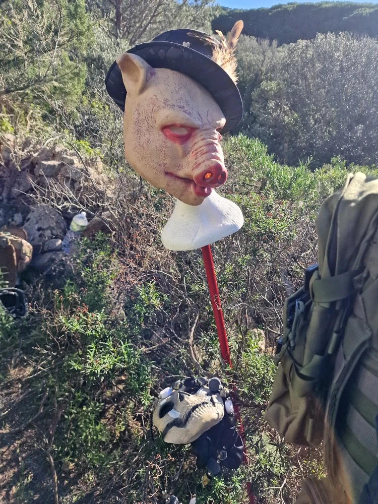 Immagine caricata da Roberto