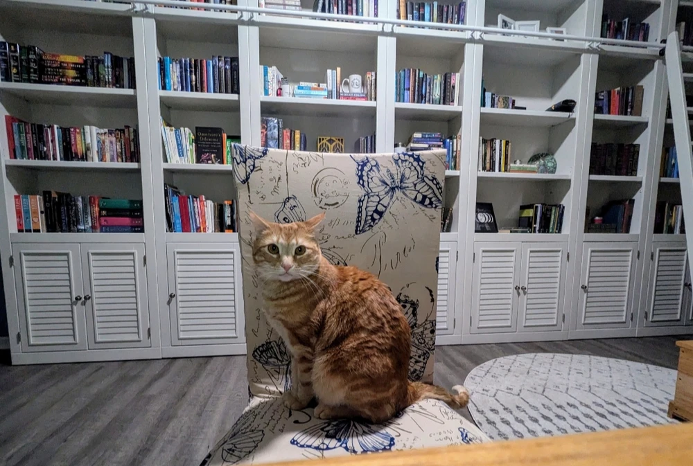 GIF uploaded by Melissa