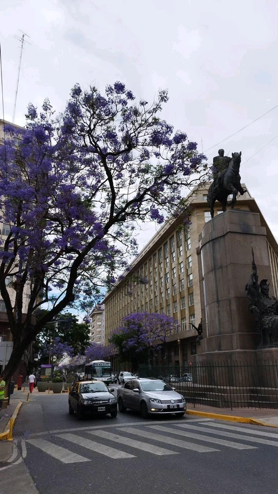 My dear Buenos Aires