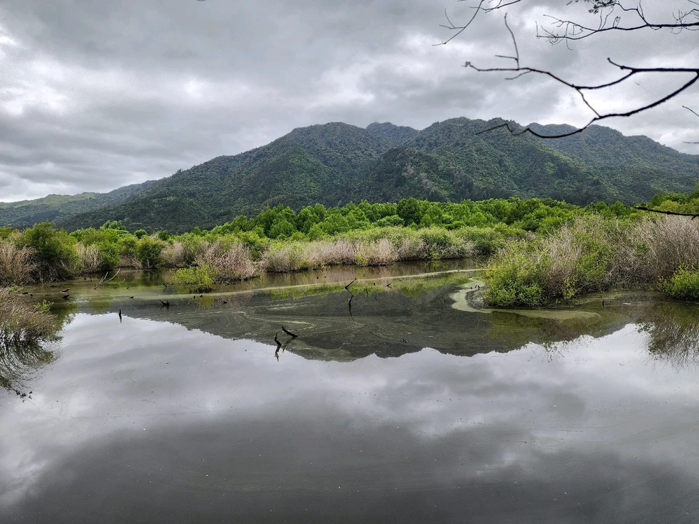 Image uploaded by Steve