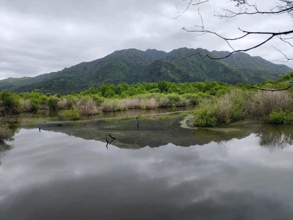 Image uploaded by Steve