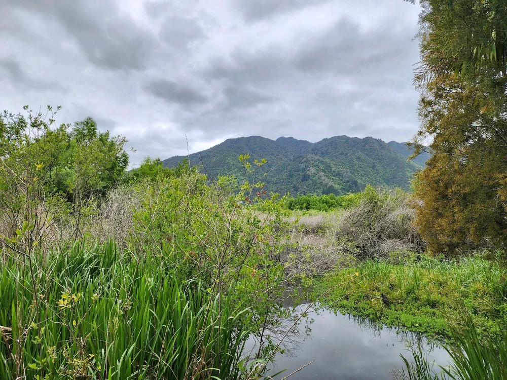 Image uploaded by Steve