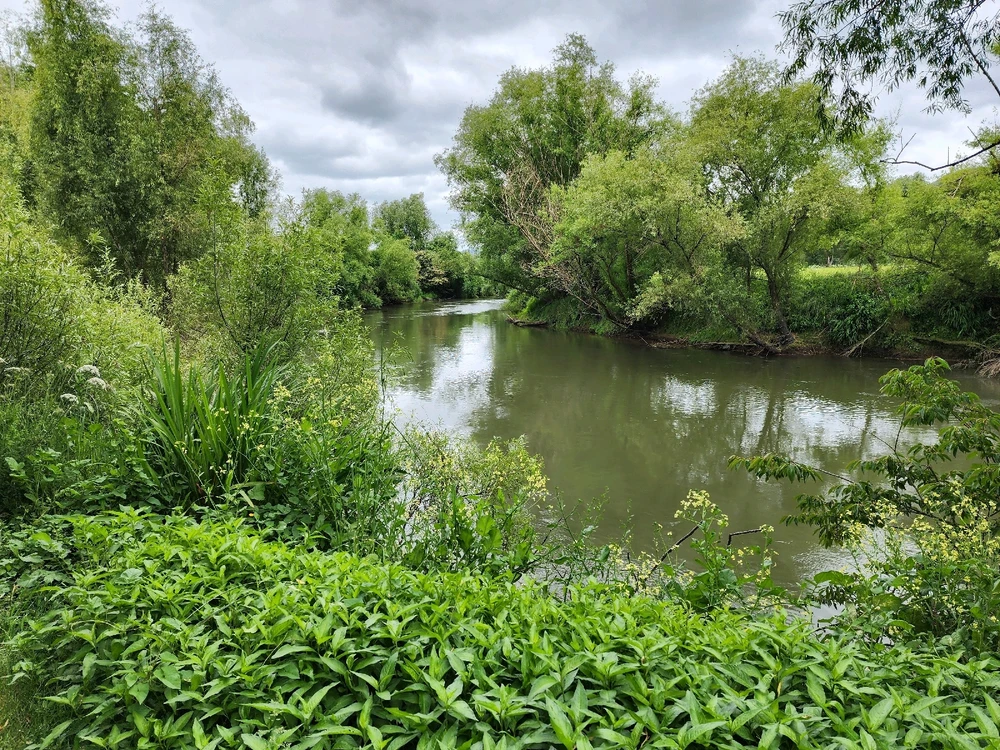 Image uploaded by Steve