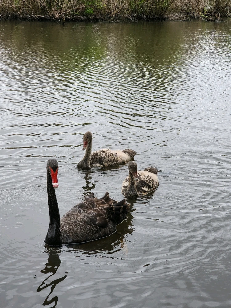 Image uploaded by Steve