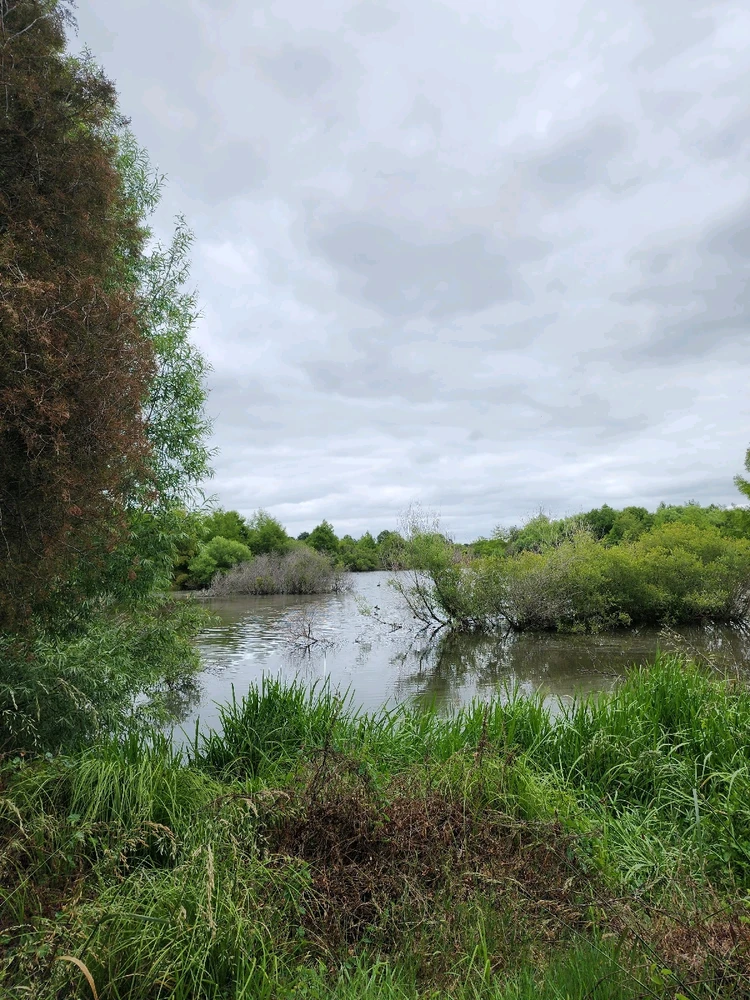 Image uploaded by Steve