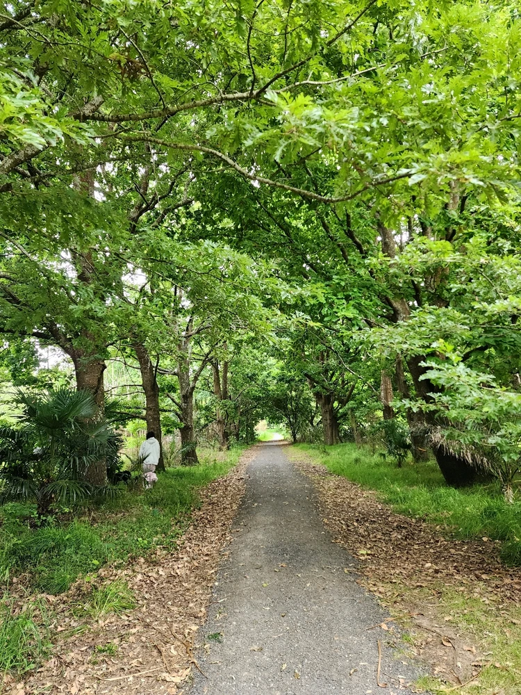 Image uploaded by Steve