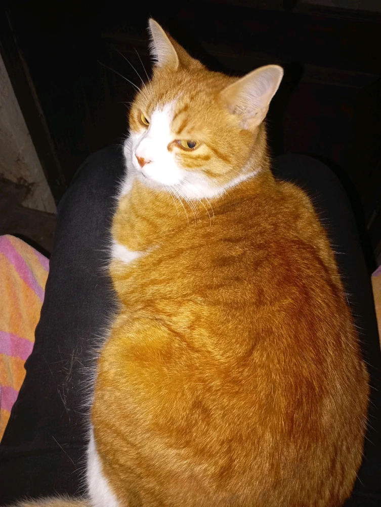 GIF ajouté par Ꭻລԁ𝙚