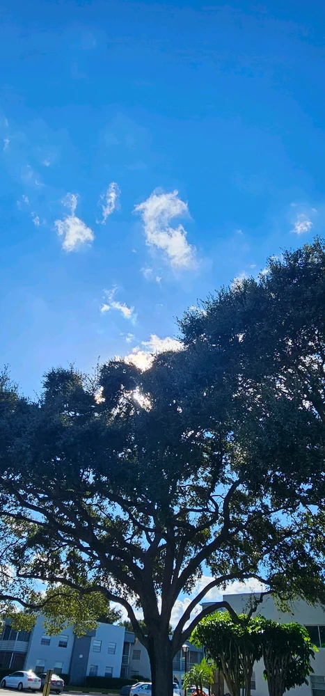 Image uploaded by Liza