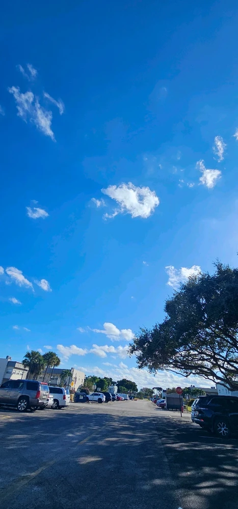 Image uploaded by Liza