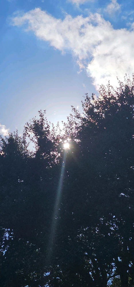 Image uploaded by Liza