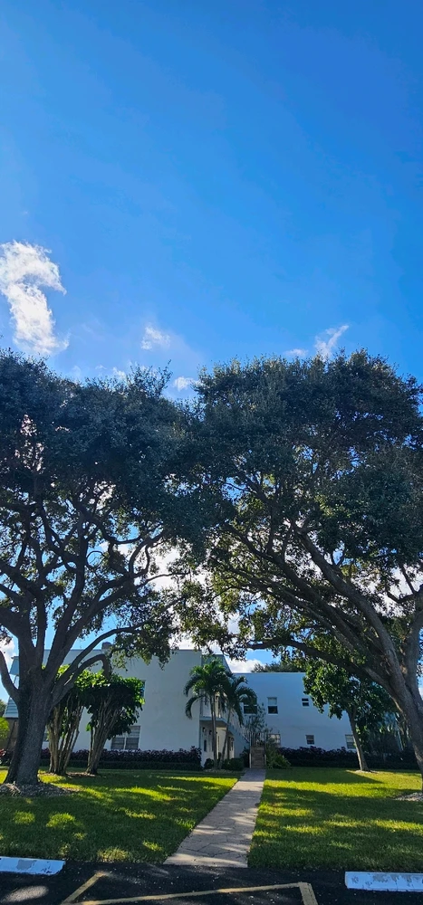 Image uploaded by Liza