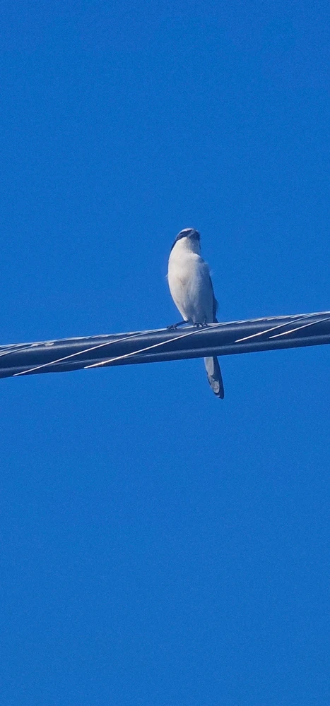 Image uploaded by Liza