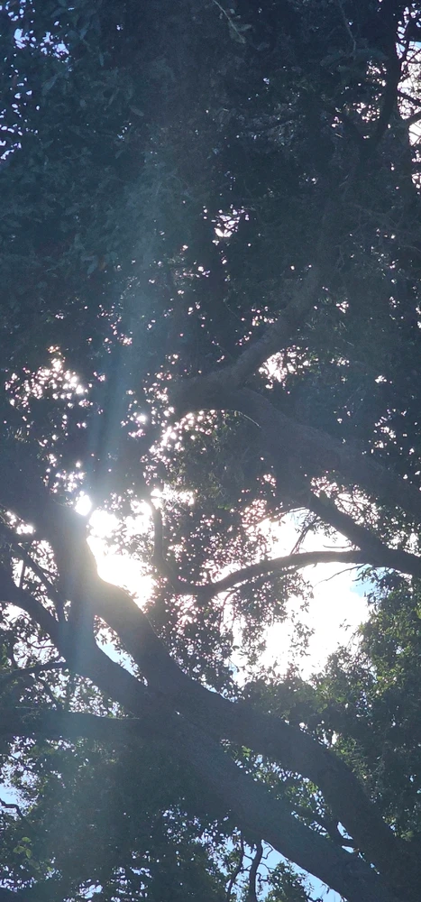 Image uploaded by Liza