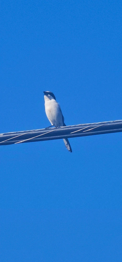 Image uploaded by Liza