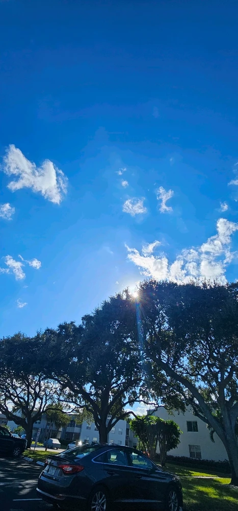 Image uploaded by Liza