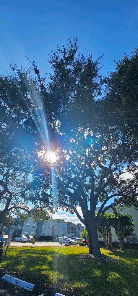 Image uploaded by Liza