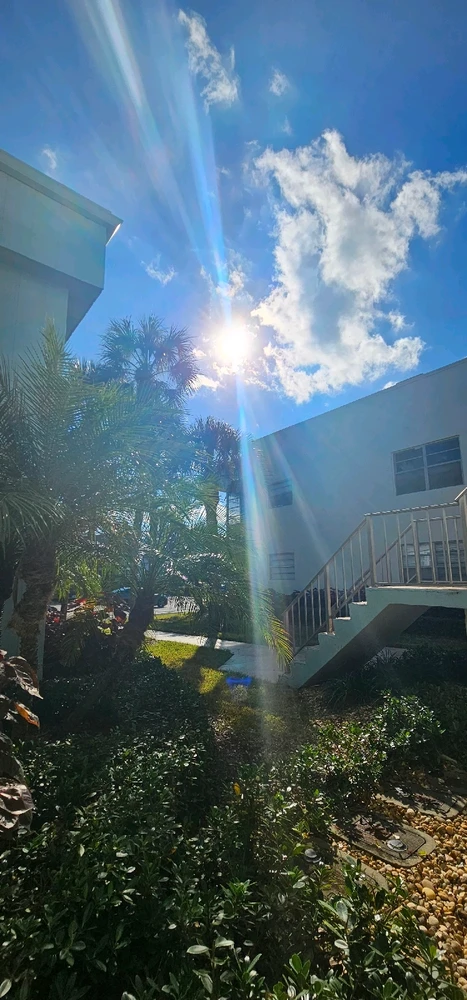 Image uploaded by Liza