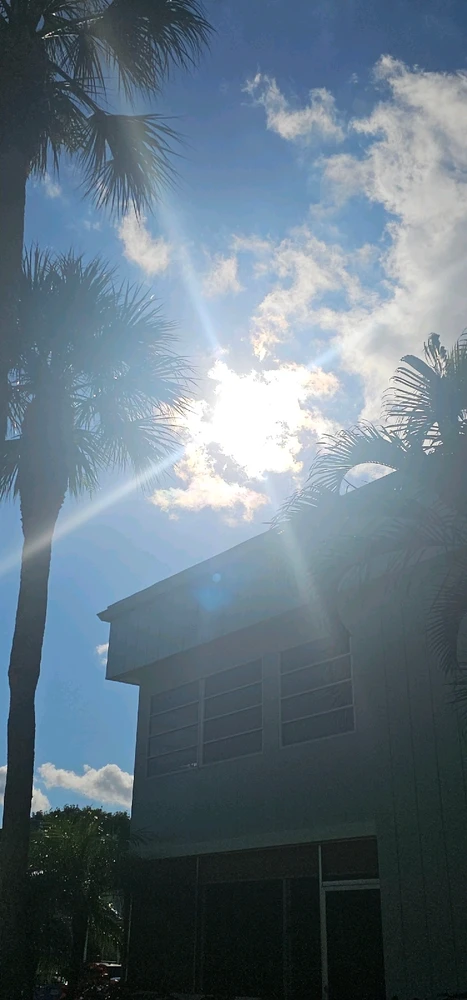 Image uploaded by Liza