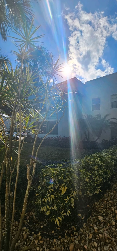 Image uploaded by Liza