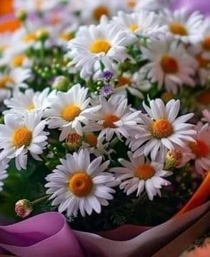 Burak tarafından yüklenen GIF