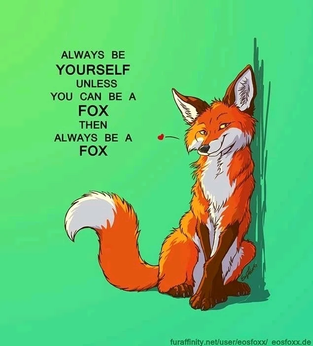 GIF uploaded by Liza