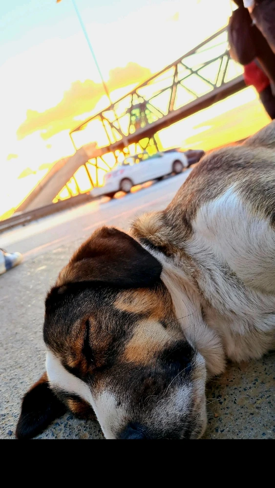 FERO tarafından yüklenen GIF