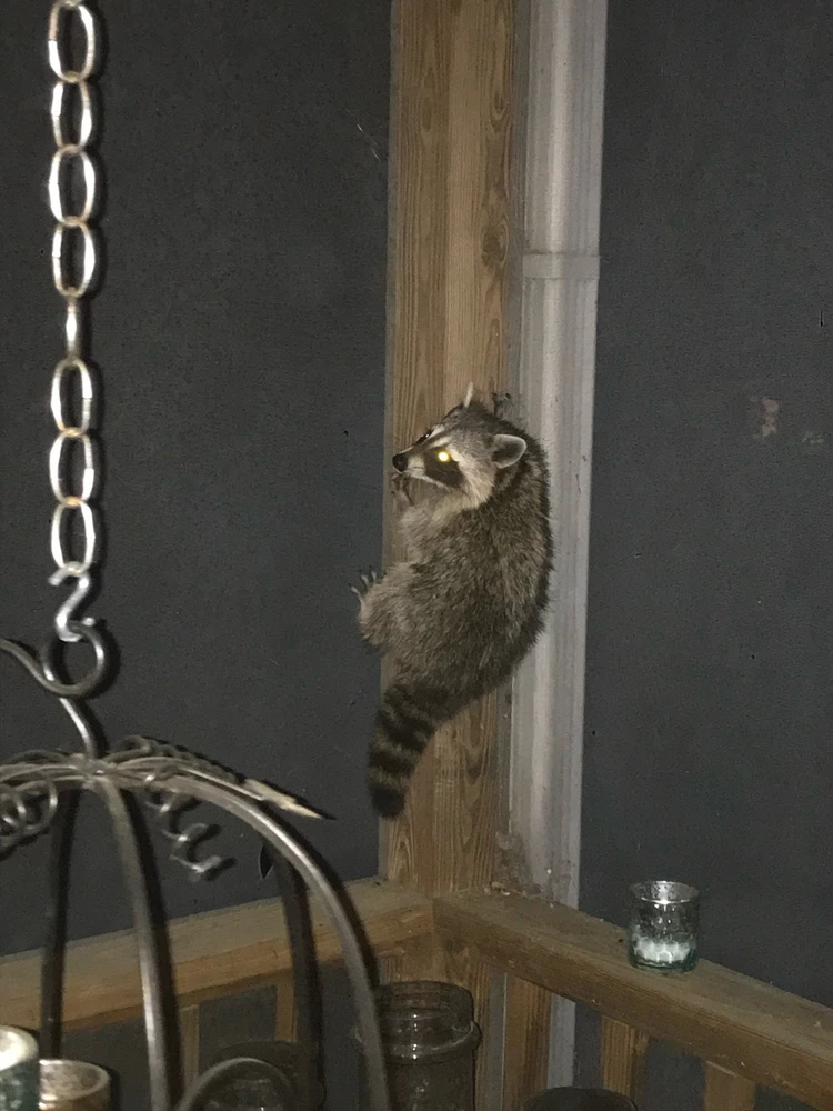 Image uploaded by J.T.