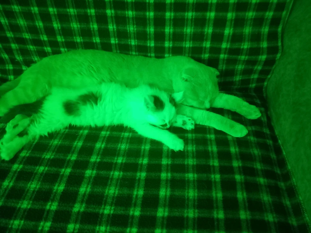 Vepa tarafından yüklenen GIF