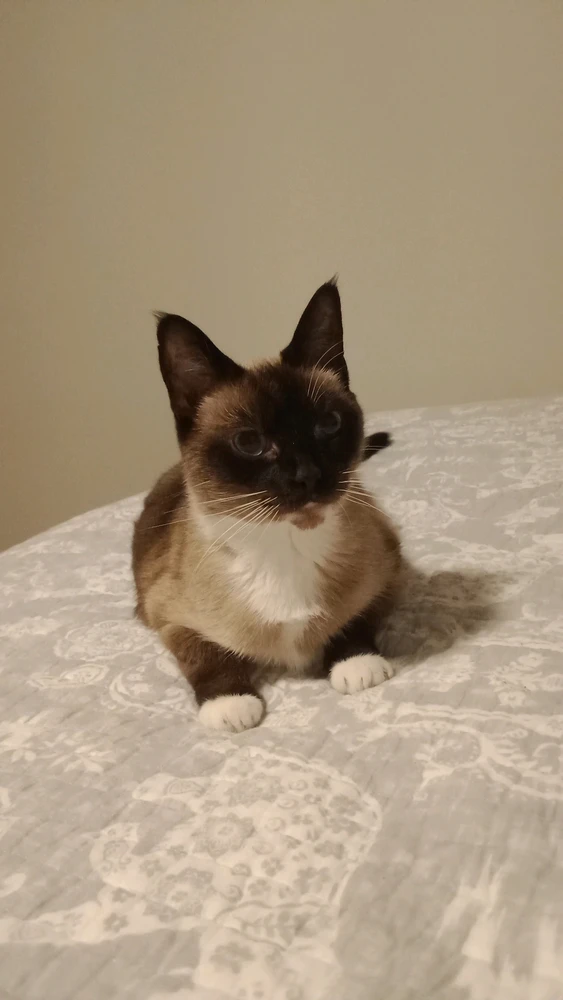 Image uploaded by Lizzie Rogers