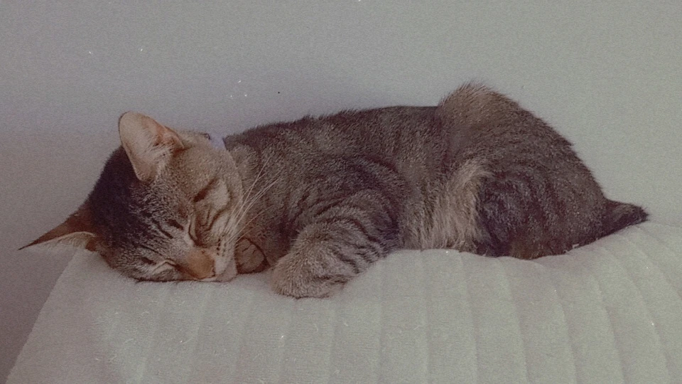 Image uploaded by Lizzie Rogers