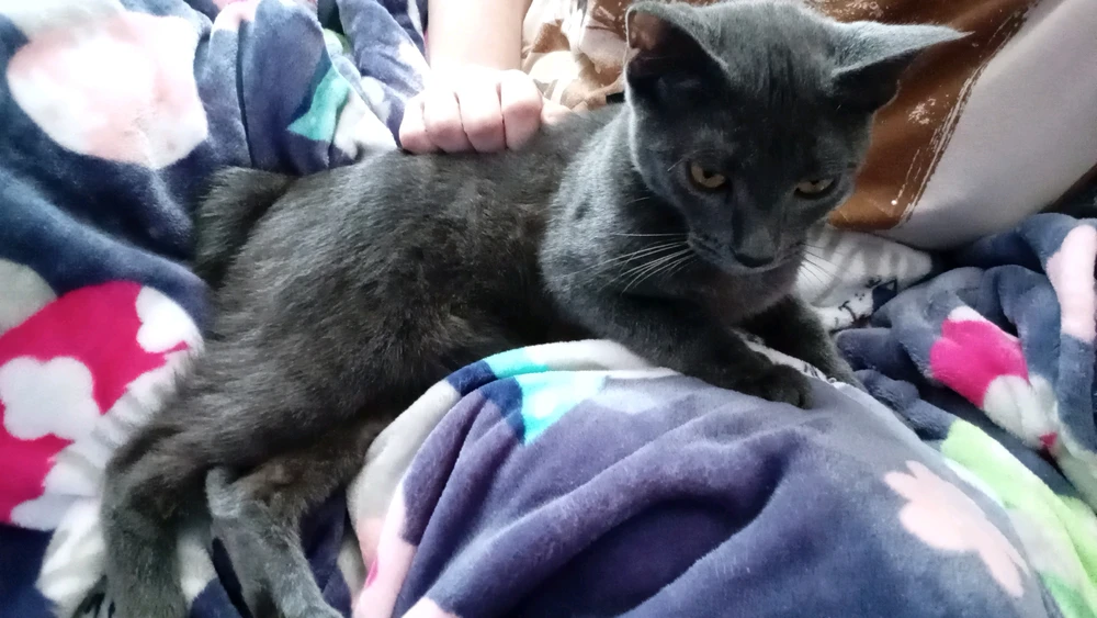 Image uploaded by Lizzie Rogers