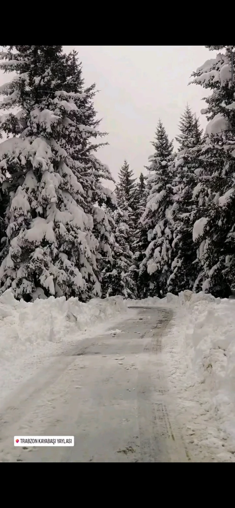GIF uploaded by İsa