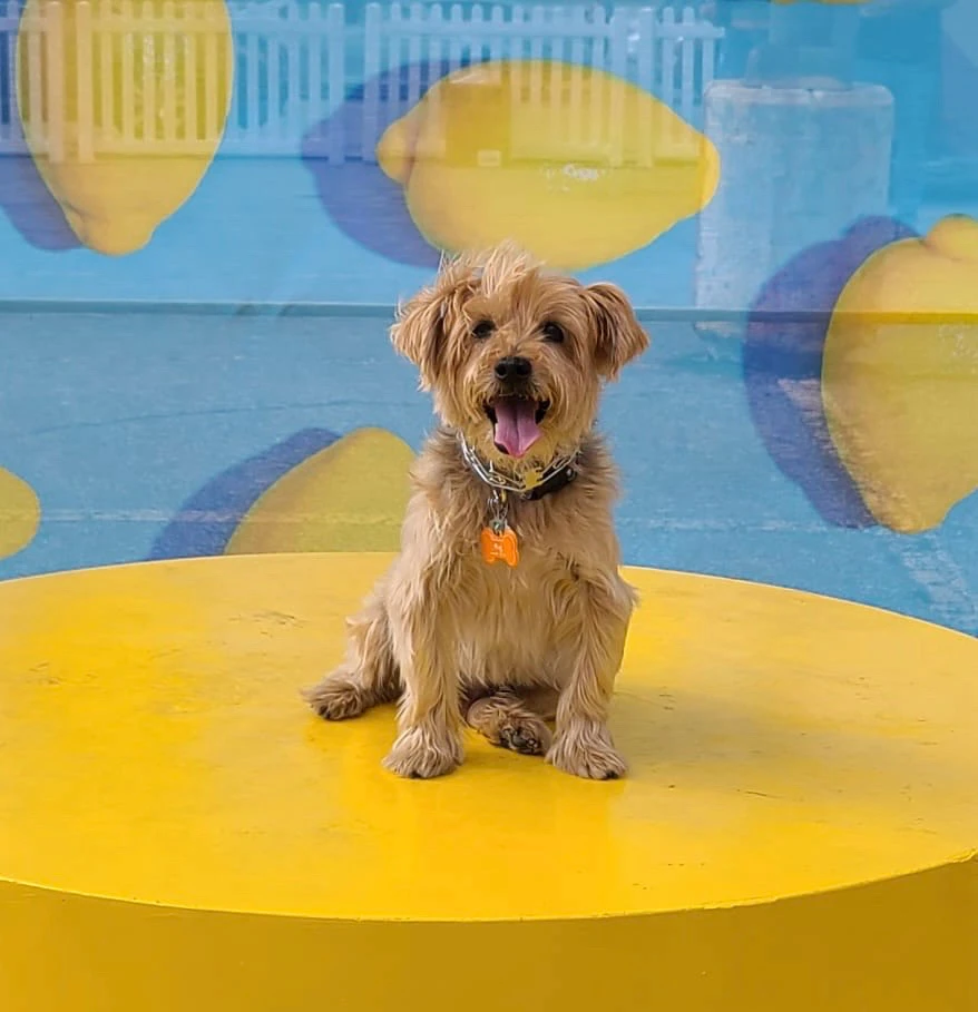 GIF uploaded by Norman