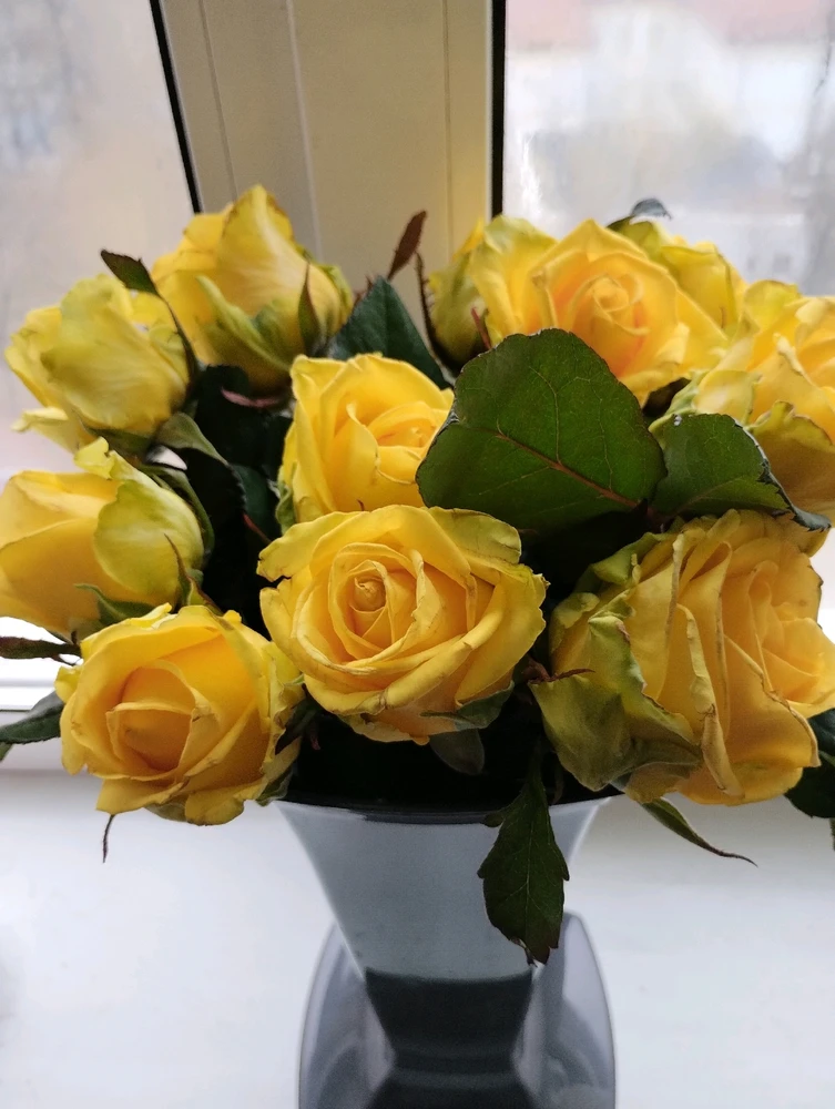 Гіфку завантажив Rina Boss