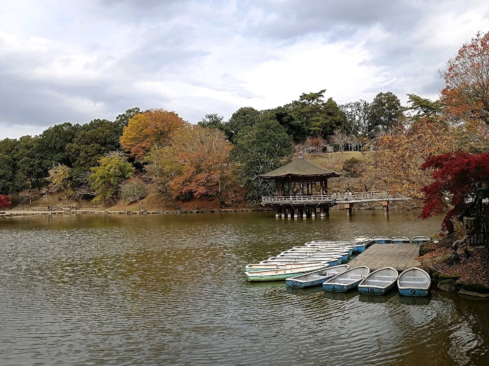 Image uploaded by Carlos カルロス