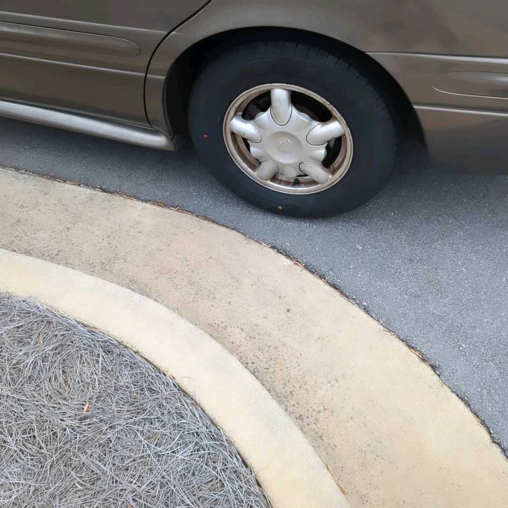 Image uploaded by Turner