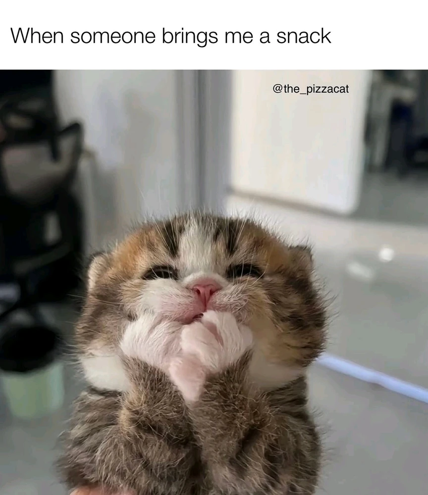 GIF uploaded by SuSu