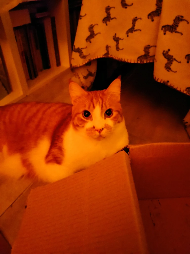 GIF caricata da Davide