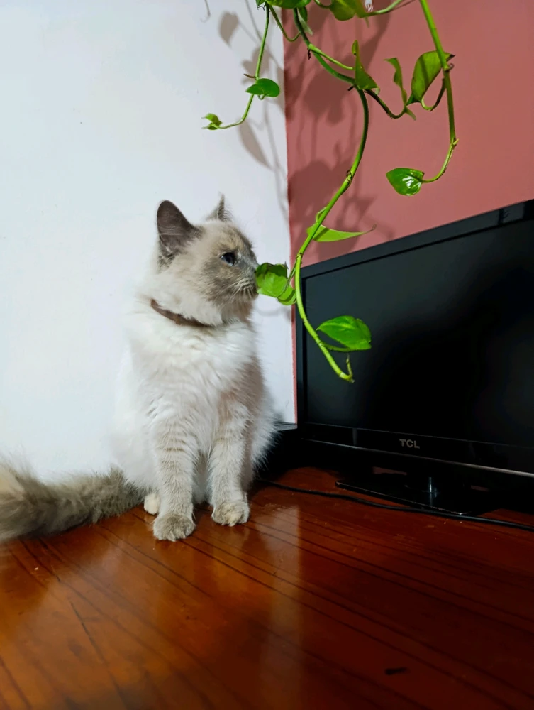 Image uploaded by Fab